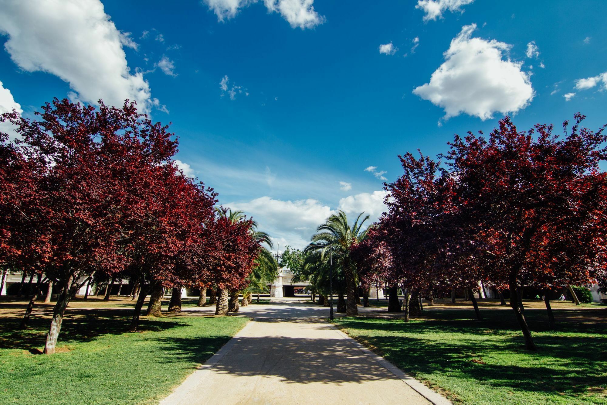 Anderson City Flats Valencia Bagian luar foto